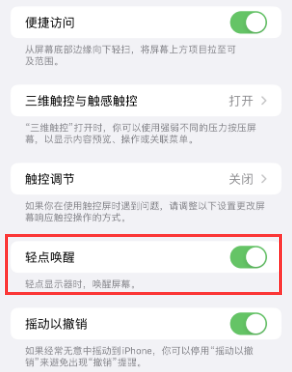 漳县苹果授权维修站分享iPhone轻点无法唤醒怎么办 