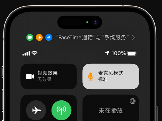 漳县苹果授权维修网点分享iPhone在通话时让你的声音更清晰 