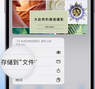 漳县apple维修中心分享iPhone文件应用中存储和找到下载文件