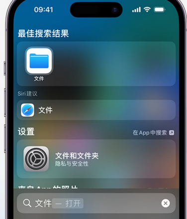 漳县apple维修中心分享iPhone文件应用中存储和找到下载文件