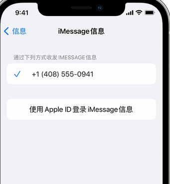 漳县apple维修iPhone上无法正常发送iMessage信息