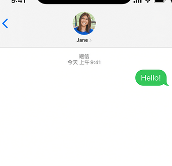 漳县apple维修iPhone上无法正常发送iMessage信息