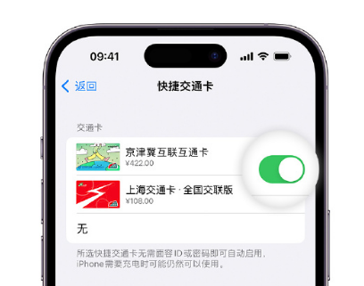 漳县apple维修点分享iPhone上更换Apple Pay快捷交通卡手绘卡面 