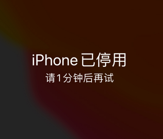 漳县苹果手机维修分享:iPhone 显示“不可用”或“已停用”怎么办？还能保留数据吗？ 