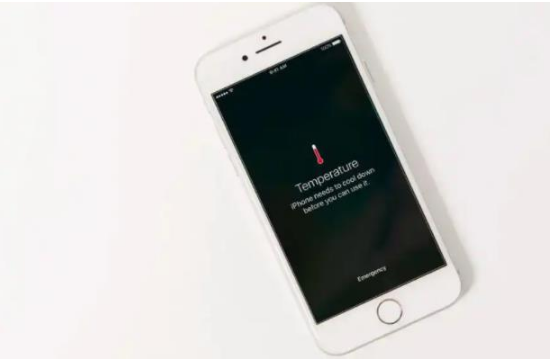 漳县苹果手机维修分享iPhone 手机发热如何快速降温 