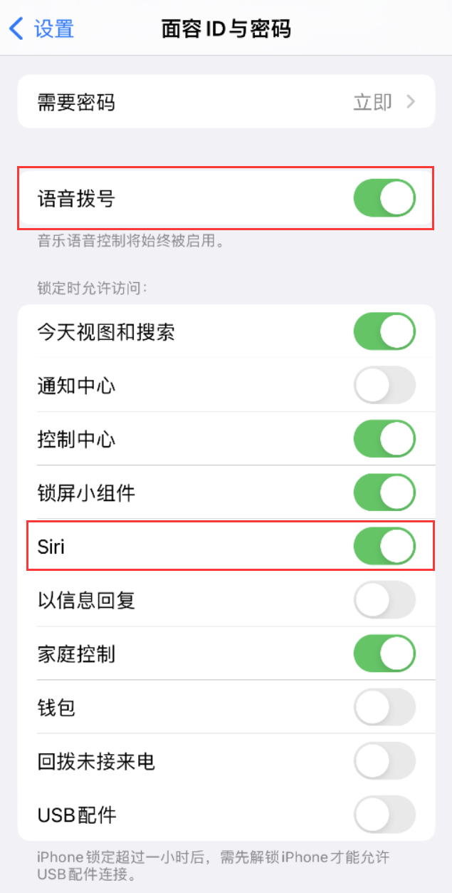 如何在不解锁 iPhone 的情况下通过 Siri 拨打电话？