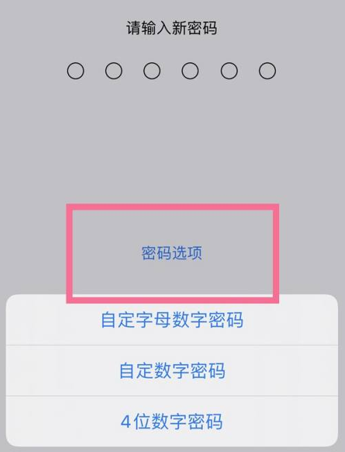 漳县苹果14维修分享iPhone 14plus设置密码的方法 