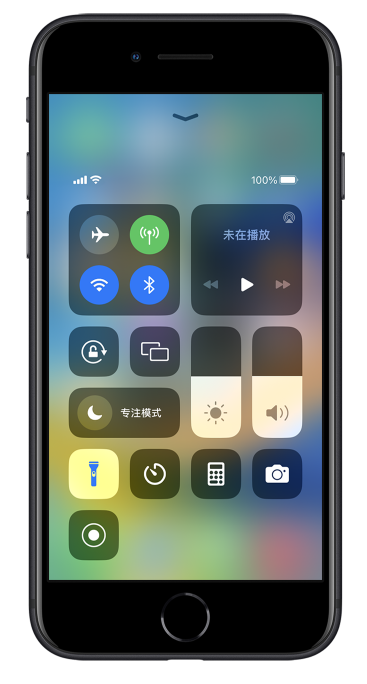 漳县苹果14维修分享苹果iPhone 14 Pro手电筒开启方法 