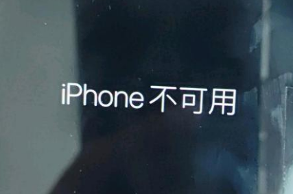 漳县苹果服务网点分享锁屏界面显示“iPhone 不可用”如何解决 