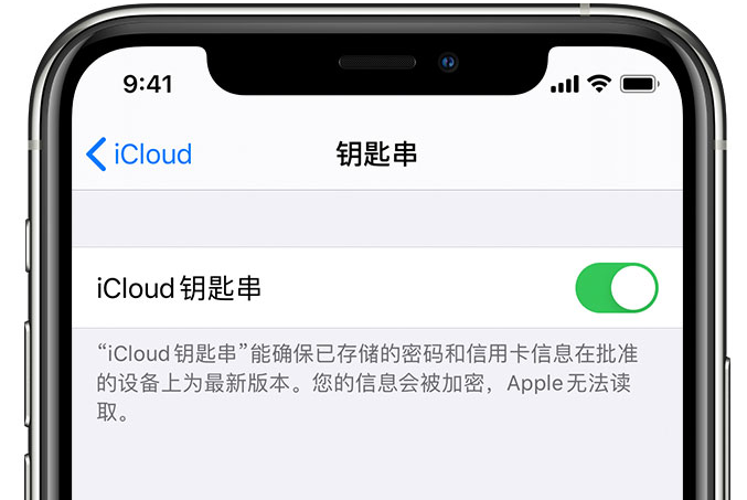 漳县苹果手机维修分享在 iPhone 上开启 iCloud 钥匙串之后会储存哪些信息 