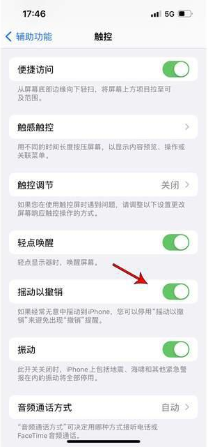 漳县苹果手机维修分享iPhone手机如何设置摇一摇删除文字 